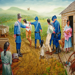 cover image of The Trail of Tears